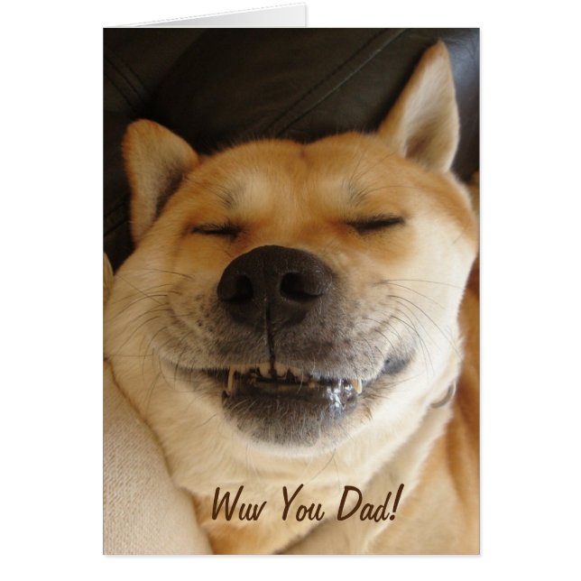 funny Japanese akita with cute smile (Front)