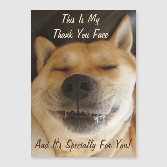 funny Japanese akita with cute smile thank you (Front)