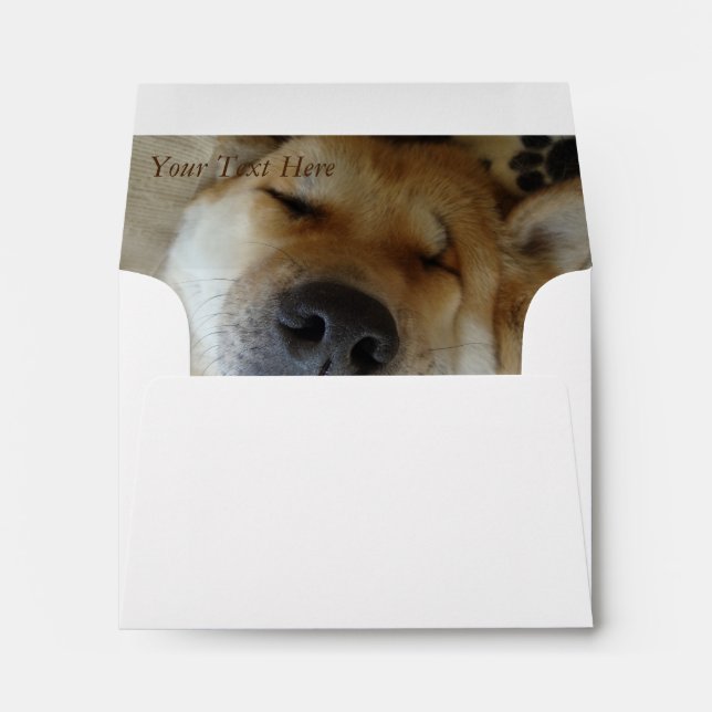 funny japanese akita with goofy smile photo envelope (Back (Bottom))