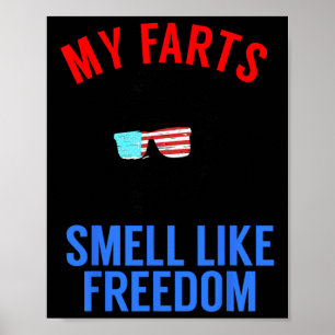 Funny July 4th Party - Funny Abe Lincoln Tee Poster