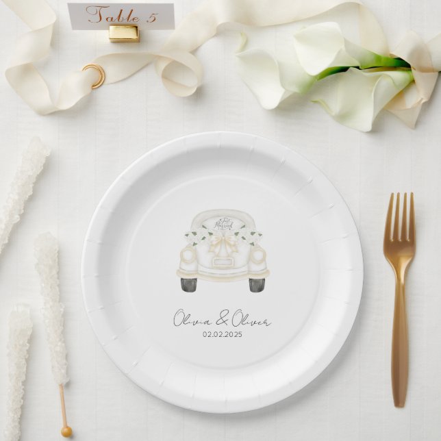 Funny just married car custom wedding paper plate (Wedding)