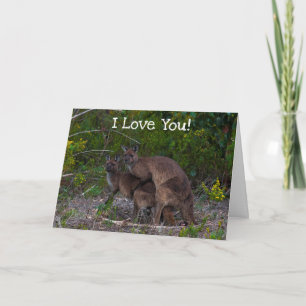 Funny Kangaroo I Love You Card
