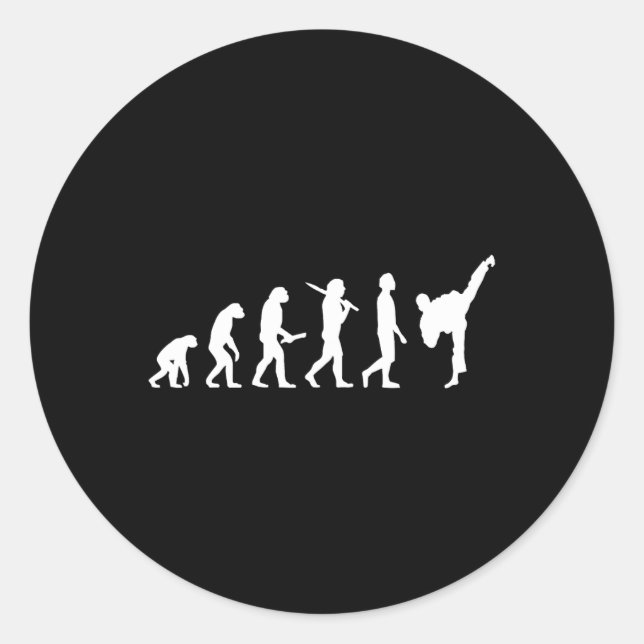Funny Karate Evolution Gift For Martial Artists  Classic Round Sticker (Front)