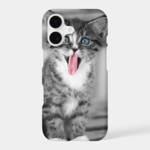 Funny Kitten