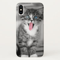 Funny Kitten