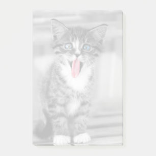 Funny Kitten Post-it Notes
