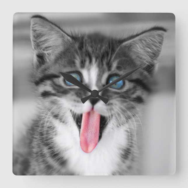 Funny Kitten Square Wall Clock (Front)
