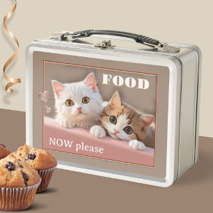 Funny Kittens Cute Cat Lover Metal Lunch Box