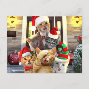 Funny kittens in Christmas Day Postcard
