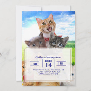 Funny kittens in green field.                      invitation