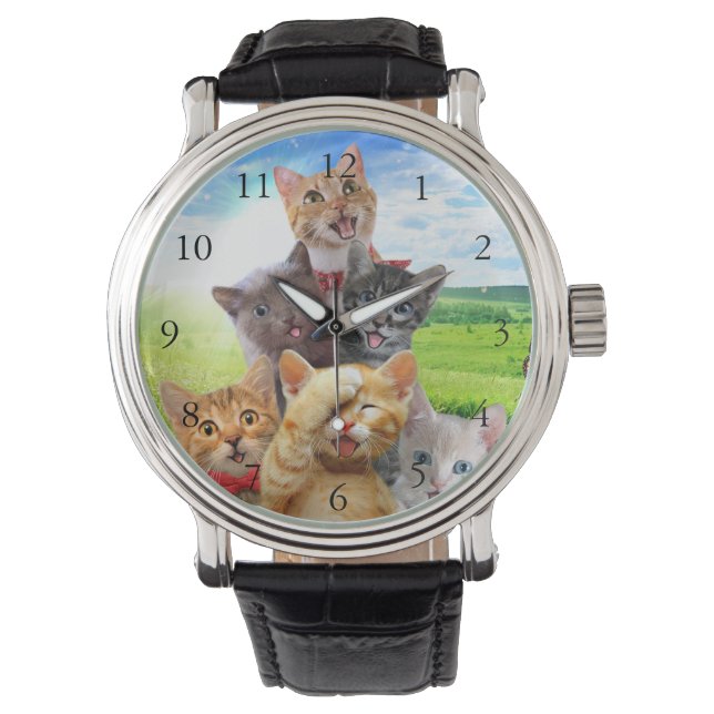 Funny kittens in green field.                      watch (Front)