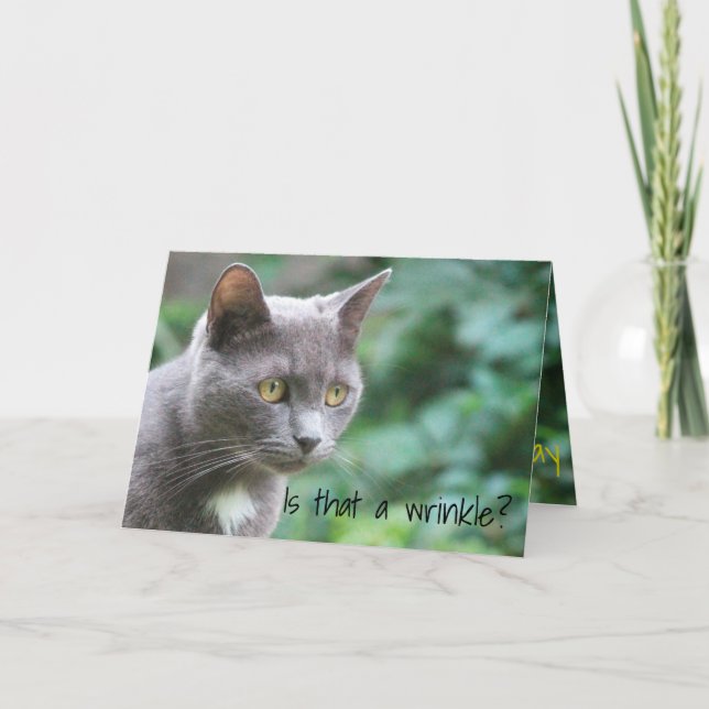 Funny Kitty Cat Card (Front)