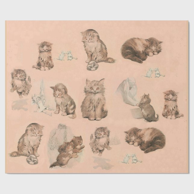 FUNNY KITTY CAT STORIES IN PINK WRAPPING PAPER (Flat)