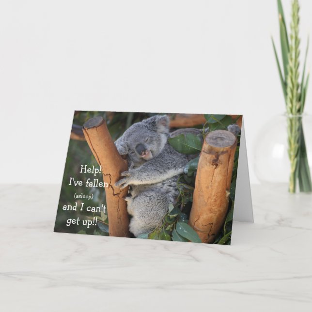 Funny Koala Bear, Belated Birthday Card (Front)