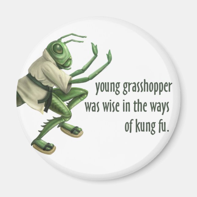 Funny Kung Fu Grasshopper Magnet (Front)