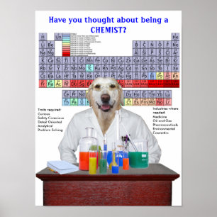 Funny Lab Chemistry Poster for Teachers