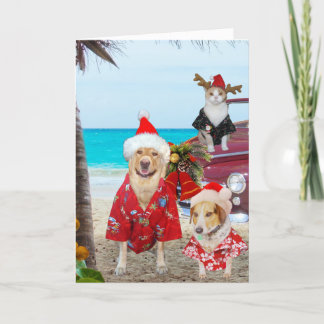 Funny Lab/Dog and Cat Hawaiian/Surfer Christmas Holiday Card