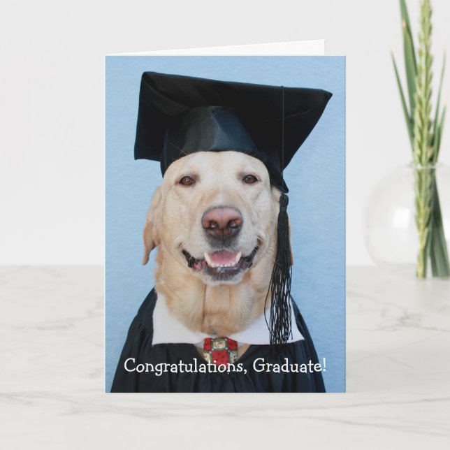 Funny Lab Graduation Card (Front)