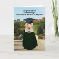 Funny Lab Physics Graduate