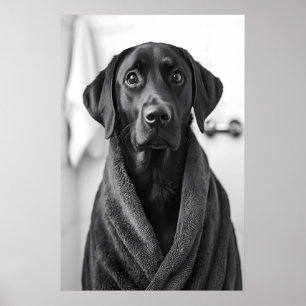 Funny Labrador Bathrobe Print, Bathroom Dog Art Poster