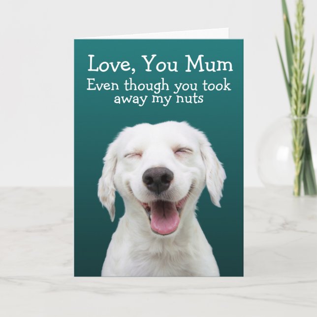 Funny labrador  birthday card (Front)