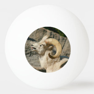 Funny Laughing Bighorn Sheep or Ram Ping Pong Ball