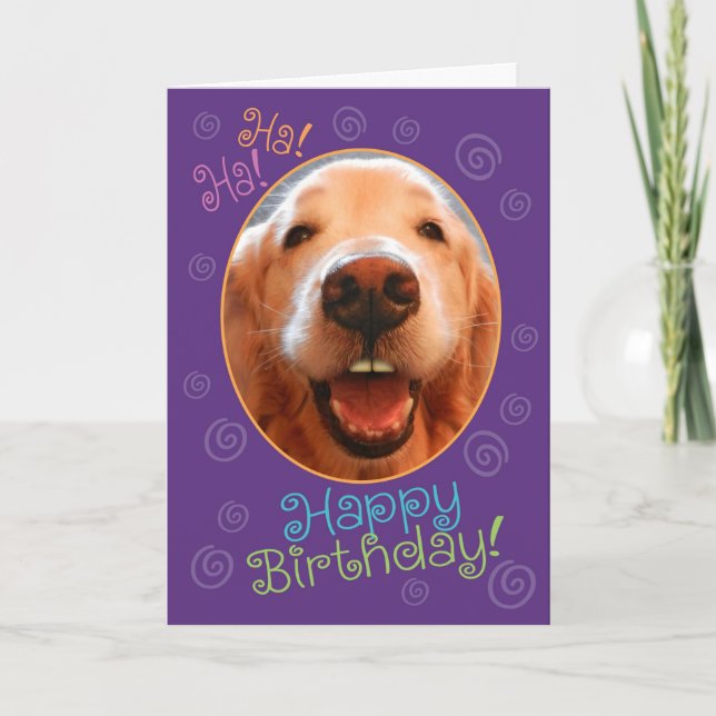 Funny Laughing Golden Retriever Birthday Card (Front)