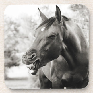 Funny Laughing Horse Coaster