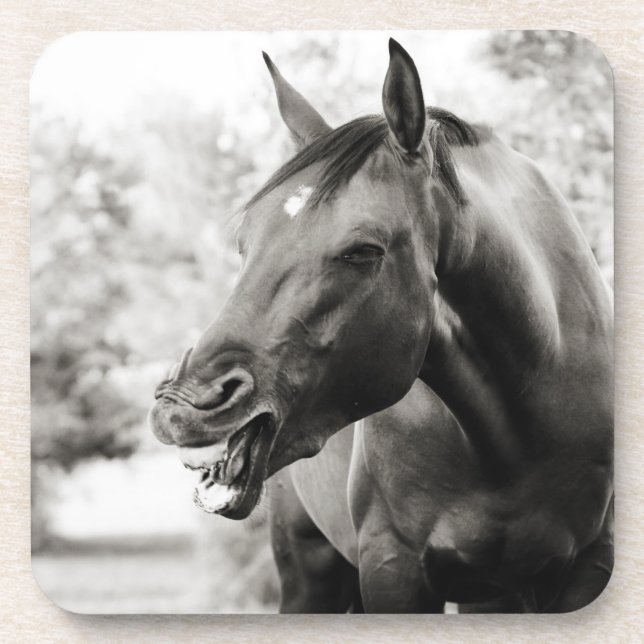 Funny Laughing Horse Coaster (Front)