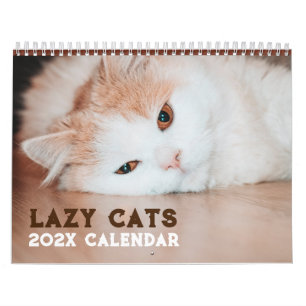 Funny Lazy Cats 2026 Calendar