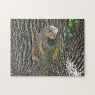 Funny Lazy Squirrel Laying on Tree Branch Jigsaw Puzzle