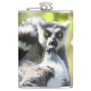 Funny Lemurs of Madagascar Monkey Business Hip Flask