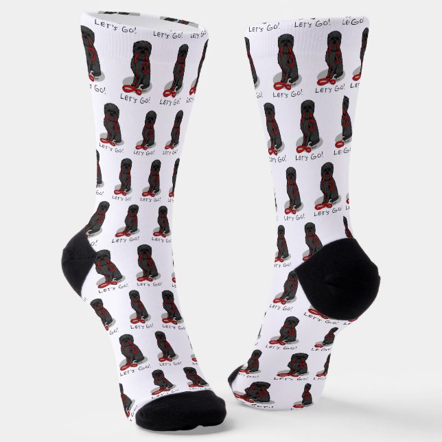 Funny Let's Go! Walk Affenpinscher (Black Natural) Socks (Angled)