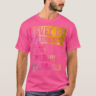 Funny Level Of Awesomeness Low Medium Gift Nebrask T-Shirt