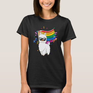 Funny Lgbt Flag Llama Gay Lesbian Resist Special B T-Shirt