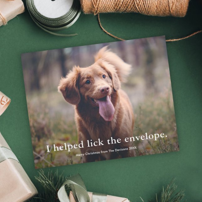 Funny Lick the Envelope Pet Christmas Card (Funny pet photo christmas holiday cards.)