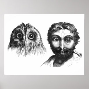 Funny Likeness between Man and Owl Vintage Cartoon Poster