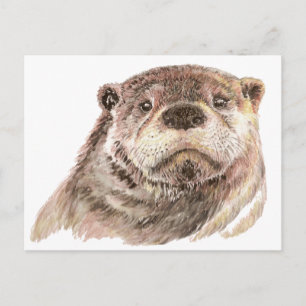 Funny Little Otter, Cute Animal Nature Postcard