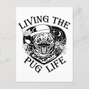 Funny Living The Pug Life Vintage Postcard