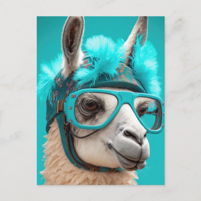 Funny Llama Alpaca Cute Animals Hats Glasses Postcard (Front)