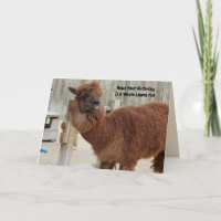 Funny Llama Birthday Card