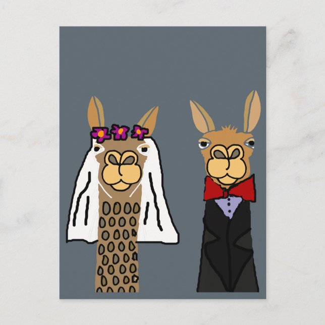 Funny Llama Bride and Groom Wedding Art Postcard (Front)