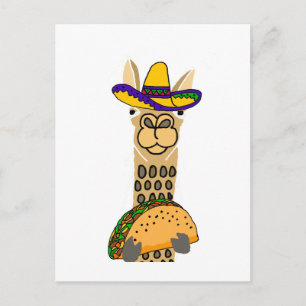 Funny Llama eating Taco Cartoon Postcard