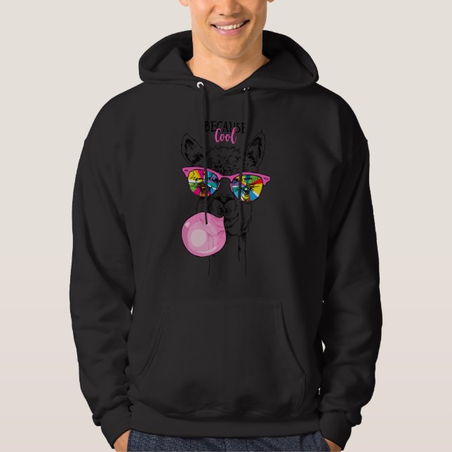 Funny Llama in a rainbow glasses, pink bubble gum  Hoodie (Front)