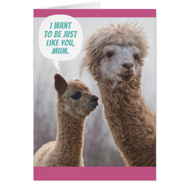 Funny Llama Mother's Day Card For Mum (Front)