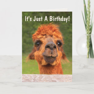 Funny Llama Wise Advice Birthday Card