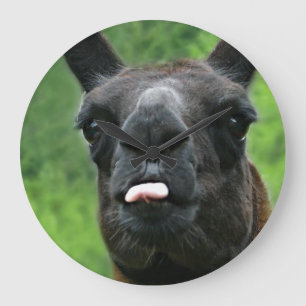 Funny Llama with Major Attitude & Pink Tongue Large Clock