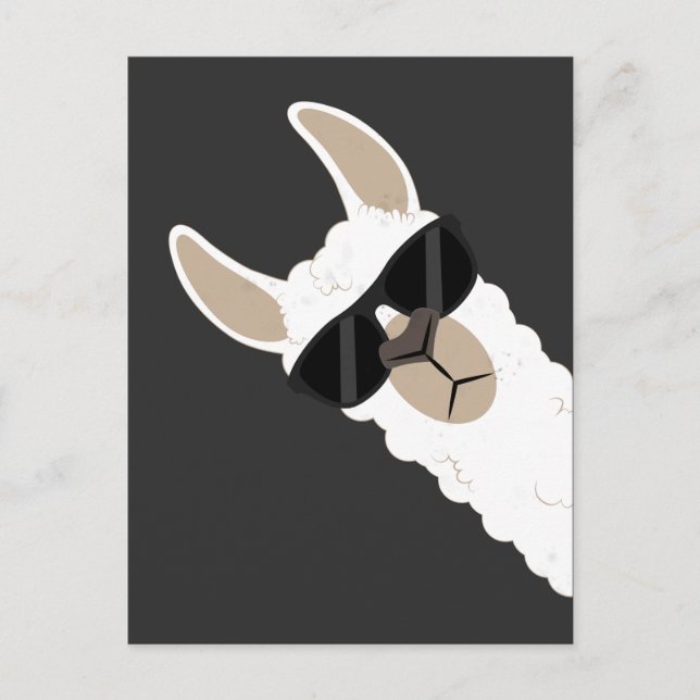 Funny Llama with sunglasses cool alpaca Postcard (Front)