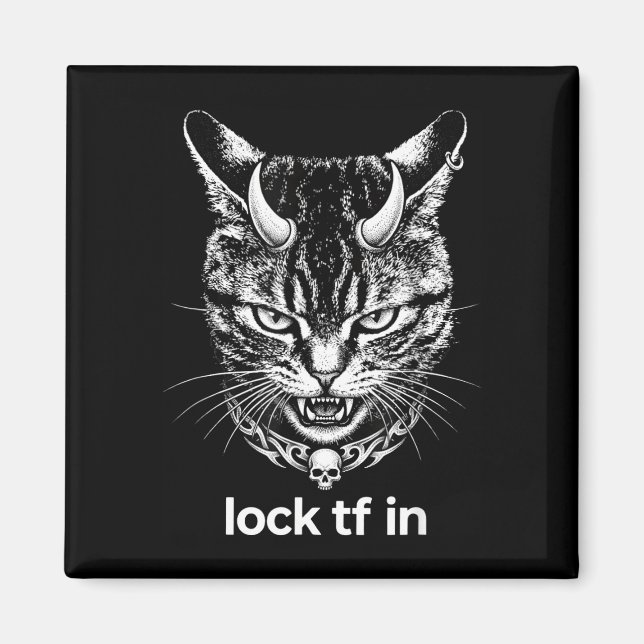 Funny lock tf in cat graphic motivational retro  magnet (Front)