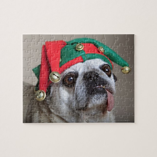 Funny looking pug with tongue hanging out jigsaw puzzle (Horizontal)